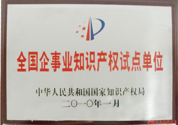 2、國(guó)家級(jí)-全國(guó)企事業(yè)知識(shí)產(chǎn)權(quán)試點(diǎn)單位-(1).jpg