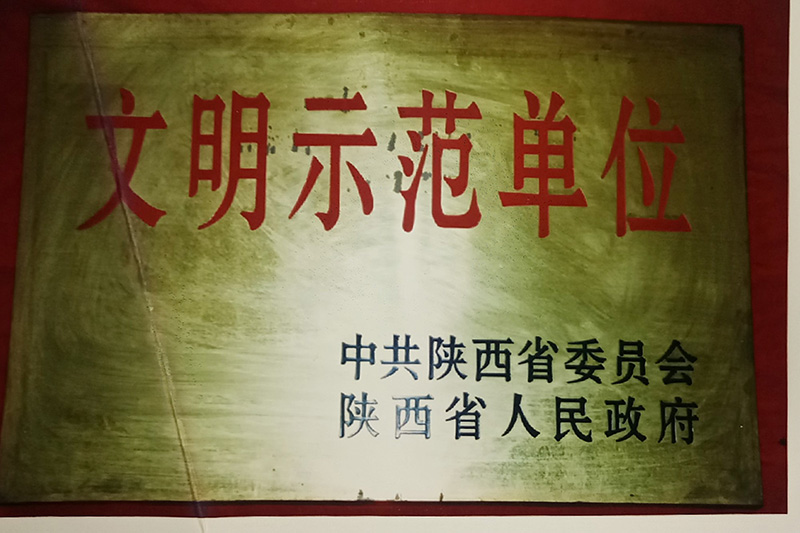 10、省級-陜西省文明示范單位.jpg